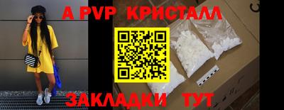 МДПВ Кингисепп