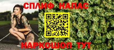 МДПВ Кингисепп