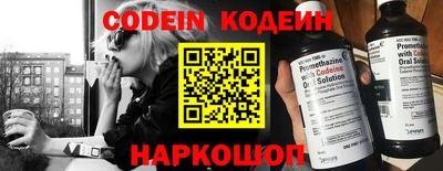 МДПВ Кингисепп