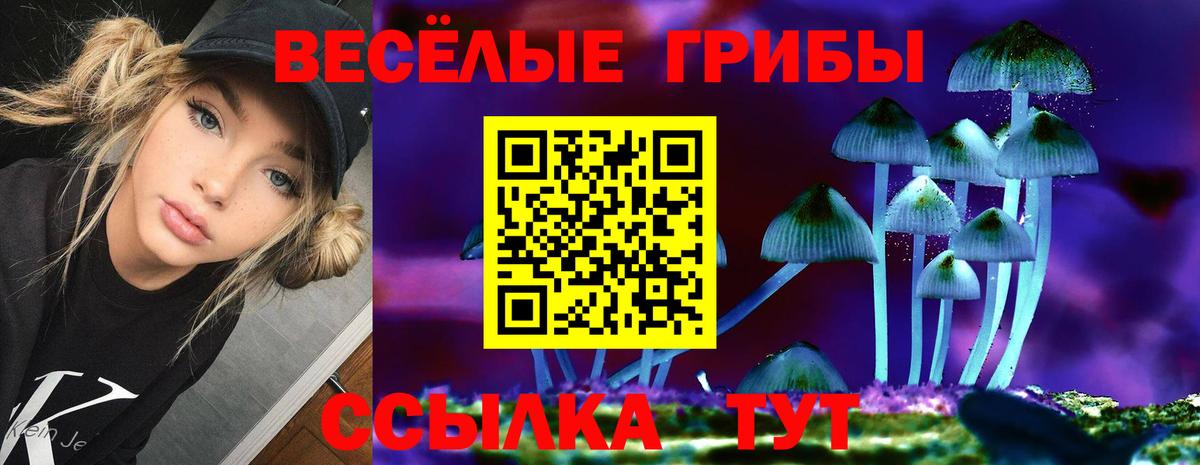 Галлюциногенные грибы Magic Shrooms Донецк